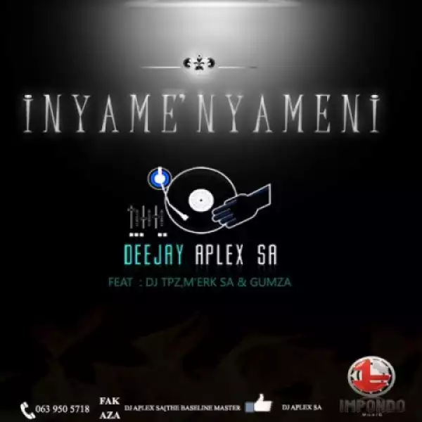 DJ Aplex - Inyamenyameni Ft. DJ Tpz, M’erk SA & Gumza